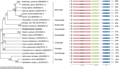 Characterization of Vitellogenin and Vitellogenin Receptor of Conopomorpha sinensis Bradley and Their Responses to Sublethal Concentrations of Insecticide